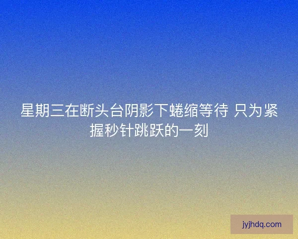 星期三在断头台阴影下蜷缩等待 只为紧握秒针跳跃的一刻 星期三在断头台阴影下蜷缩等待 只为紧握秒针跳跃的一刻